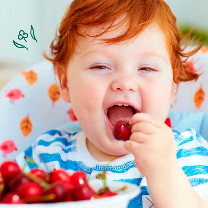 10 Alimentos que Estimulam o Cérebro das Crianças