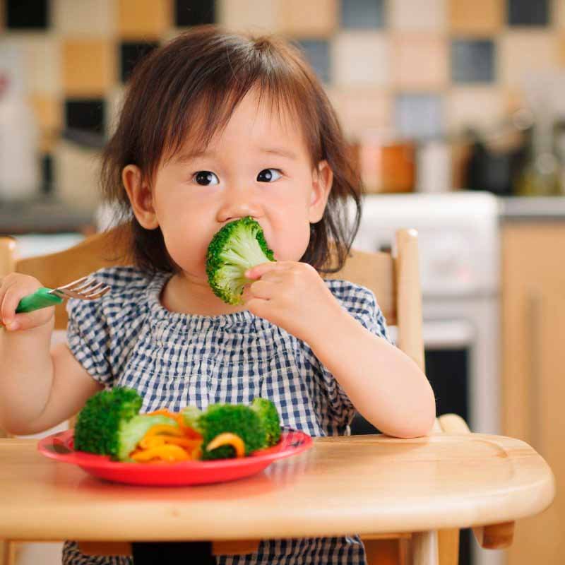 A importância da introdução alimentar