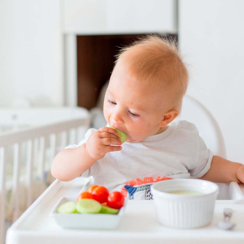 Como saber a hora que o bebê aprende a mastigar?